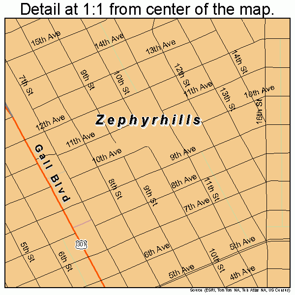 Zephyrhills Florida Street Map 1279225