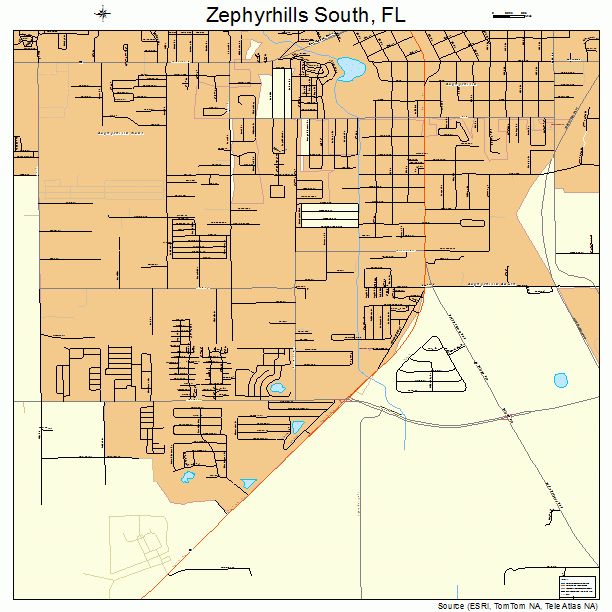 Zephyrhills South Florida Street Map 1279237