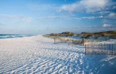 The Top Beaches On Florida s Gulf Coast