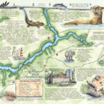 5 Fun Things To Do In Homosassa   The Villages Of Citrus Hills Regarding Map Of Homosassa Springs Florida