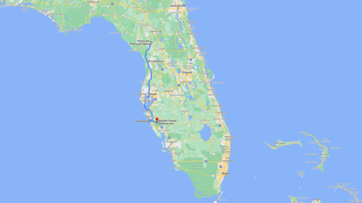 Map of Florida on the Gulf Side