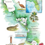 A Voyage Down The St. Johns – Garden & Gun With Regard To List Of Banks In Astor Florida Map