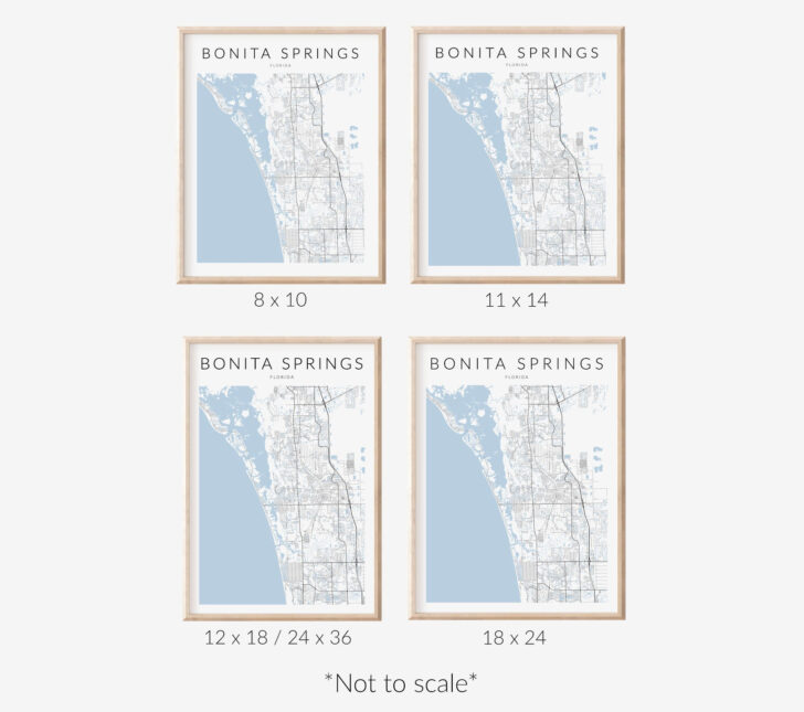 Map of Florida with Bonita Springs