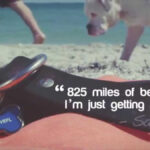 Dog Friendly Beaches In Florida | Visit Florida Pertaining To Map Of Dog Friendly Beaches In Florida