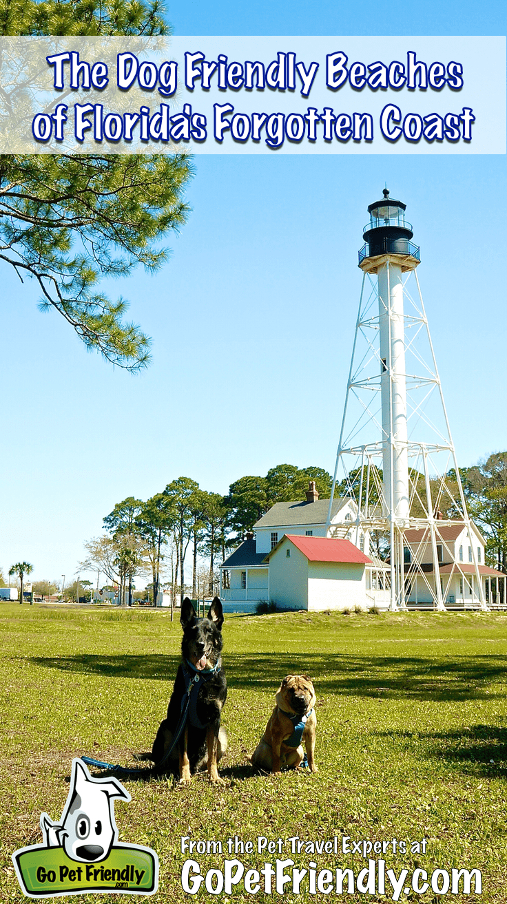 Dog Friendly Beaches On The Florida Panhandle | Gopetfriendly inside Map Of Dog-Friendly Beaches In Florida