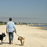 Dog Friendly Beaches On The Florida Panhandle | Gopetfriendly Intended For Map Of Dog Friendly Beaches In Florida