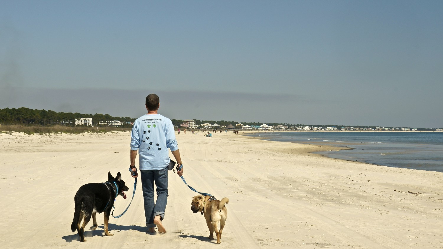 Dog Friendly Beaches On The Florida Panhandle | Gopetfriendly intended for Map of Dog Friendly Beaches in Florida