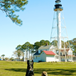 Dog Friendly Beaches On The Florida Panhandle | Gopetfriendly With Regard To Map Of Dog Friendly Beaches In Florida