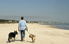 Dog Friendly Beaches On The Florida Panhandle | Gopetfriendly within Map Of Dog-Friendly Beaches In Florida