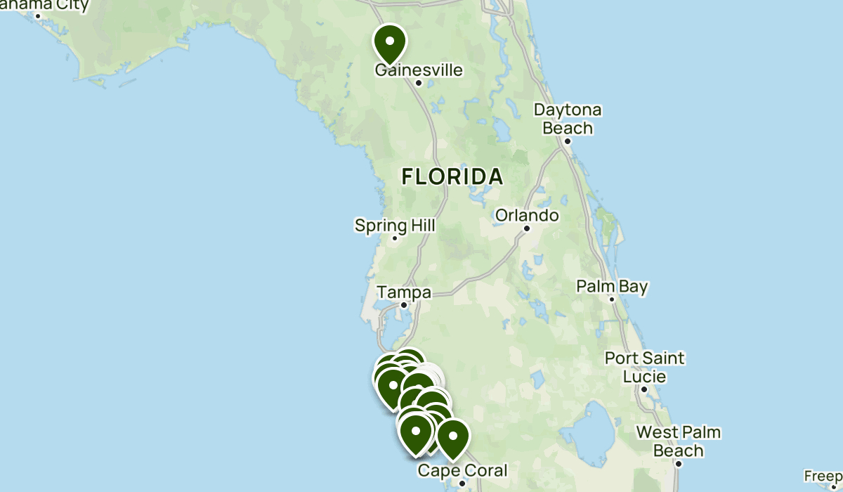 Englewood Florida Area | List | Alltrails intended for Map of Englewood Beach Florida