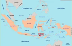 Flores Island Travel Guide: Exploration From The West To The East in Map of Flores Island Indonesia