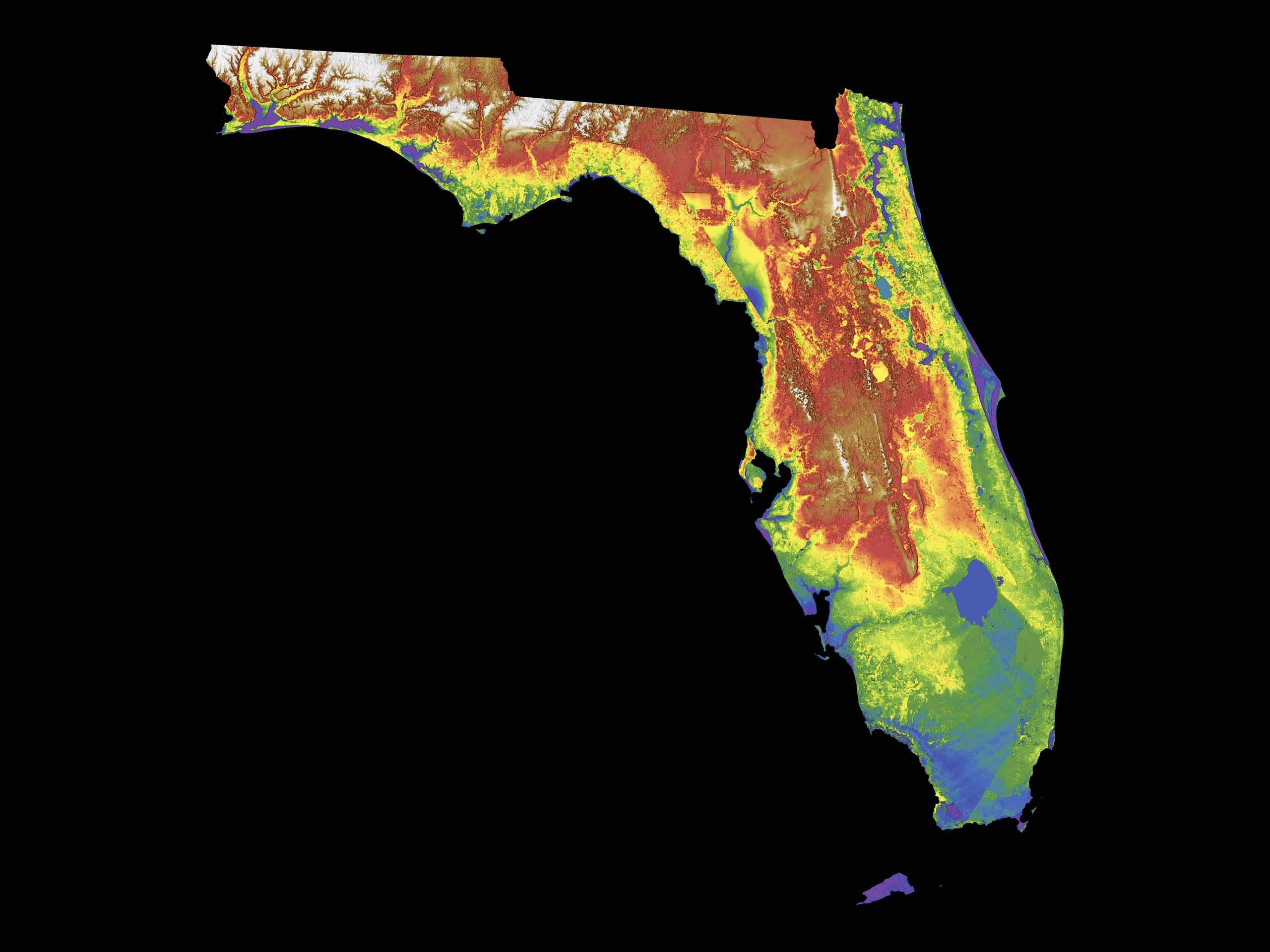 Florida Color Elevation Map - Etsy intended for State Of Florida Elevation Map