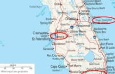 Florida Cruise Port Choices intended for Map Of Cruise Ports In Florida