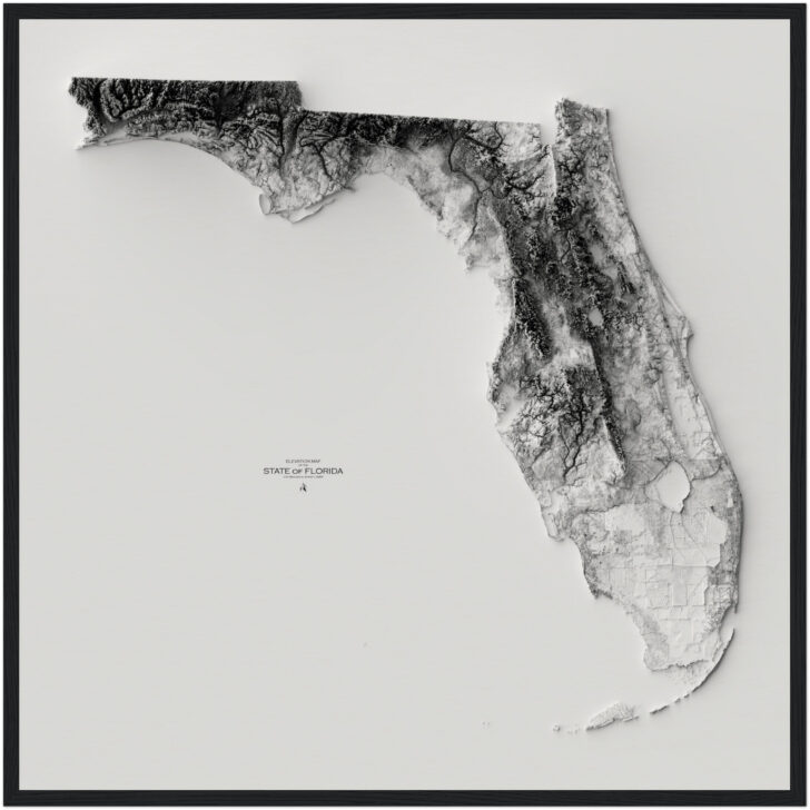 State of Florida Elevation Map