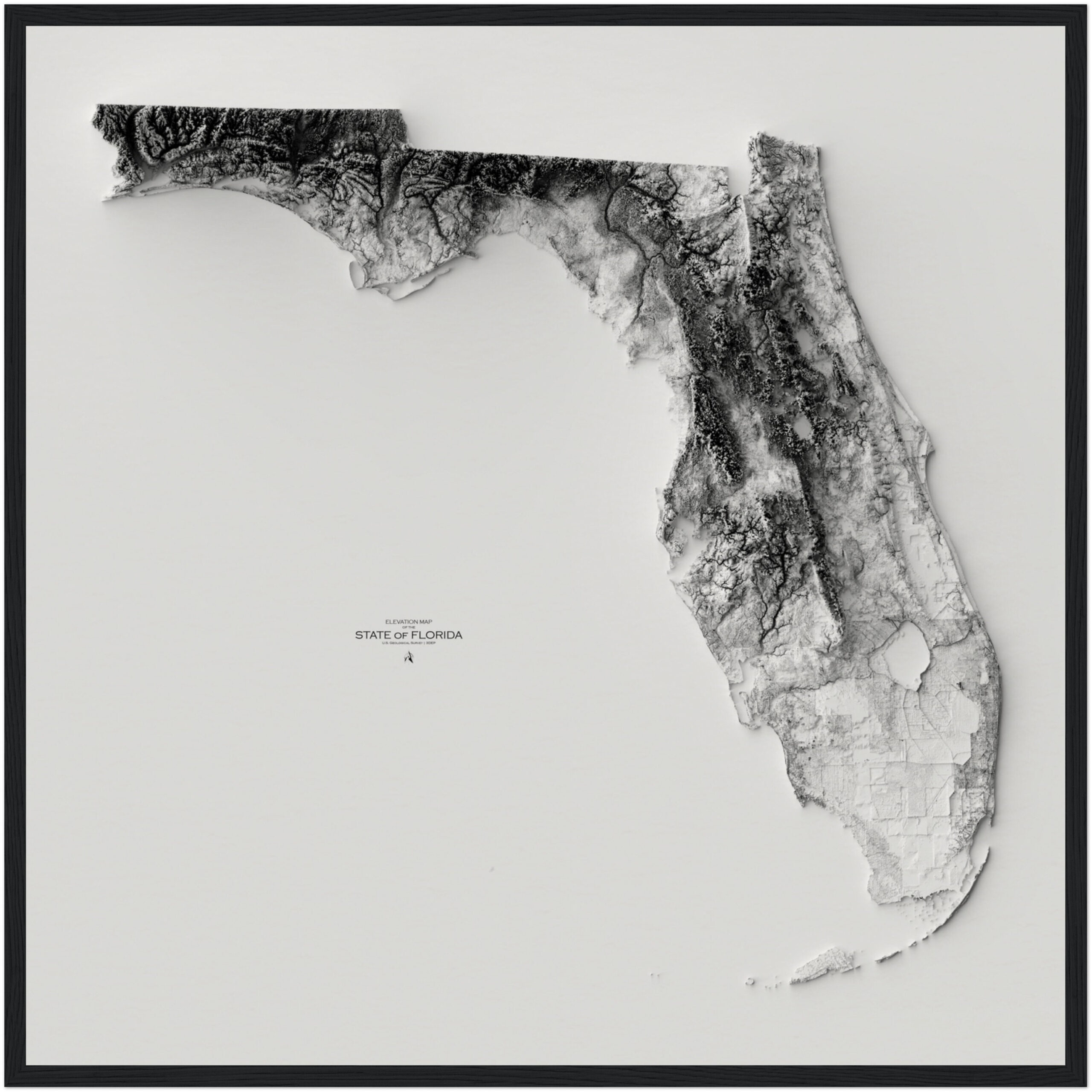Florida Elevation Map, Wandkunst Topographischer Druck throughout State Of Florida Elevation Map