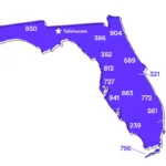 Florida (Fl) Phone Numbers: Area Codes 407, 786, 904, 813, 561 Regarding Area Code Map Of Florida