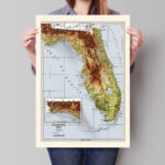 Florida Map   Vintage Style 1882 Elevation Map   2D Print With 3D Intended For 3D Elevation Map Of Florida