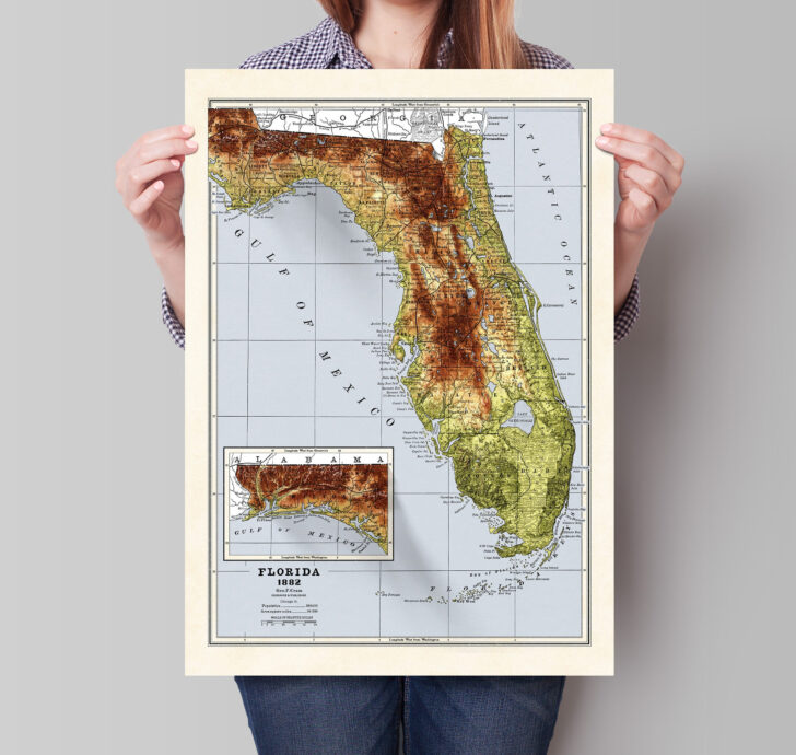 3D Elevation Map of Florida