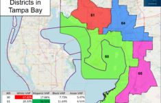 Florida Redistricting Tour #4: State House Districts In The Tampa within Map Of Tampa Florida Counties
