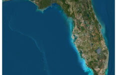 Florida State 3D Terrain Map - High-Resolution Obj Digital Model pertaining to View A Map Of Florida