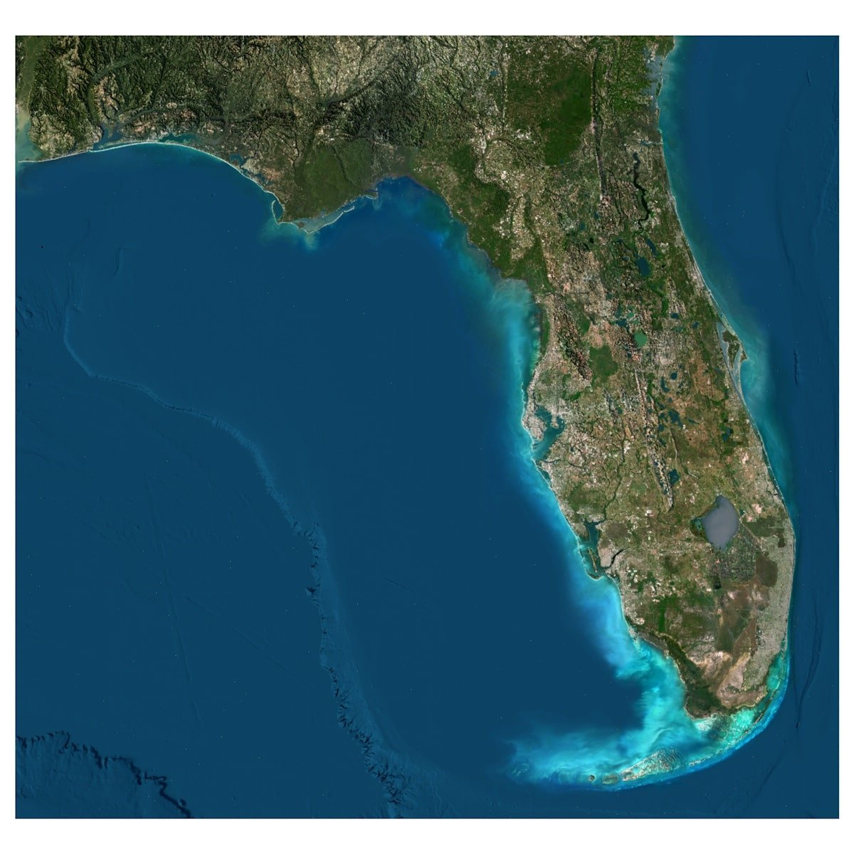 Florida State 3D Terrain Map - High-Resolution Obj Digital Model pertaining to View A Map Of Florida