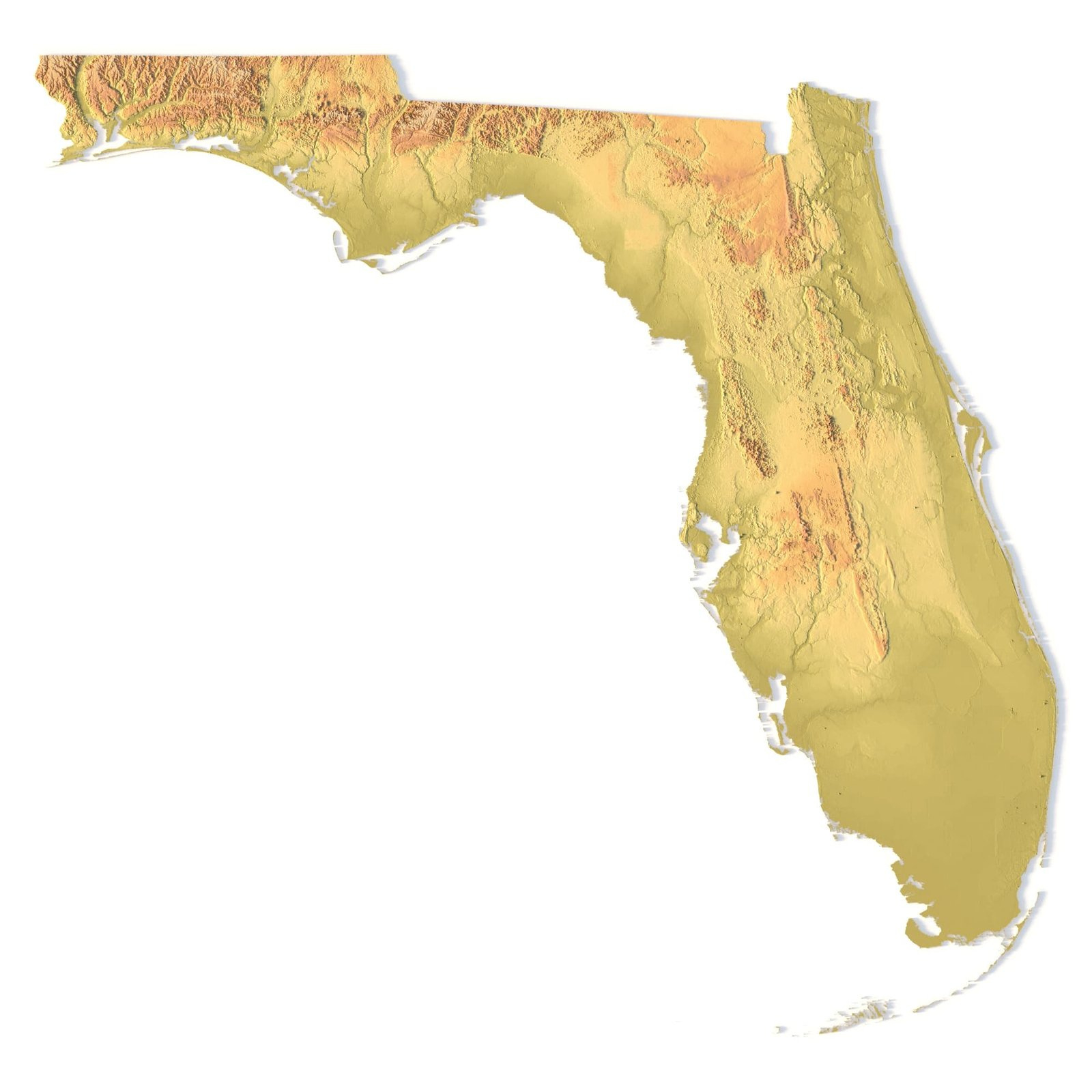 Florida Topographic Map Stl Model pertaining to 3D Elevation Map Of Florida