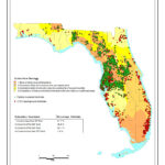 Florida'S Top 10 Sinkhole Prone Counties In State Of Florida Sinkhole Map