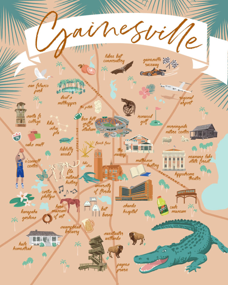 Street Map of Gainesville Florida