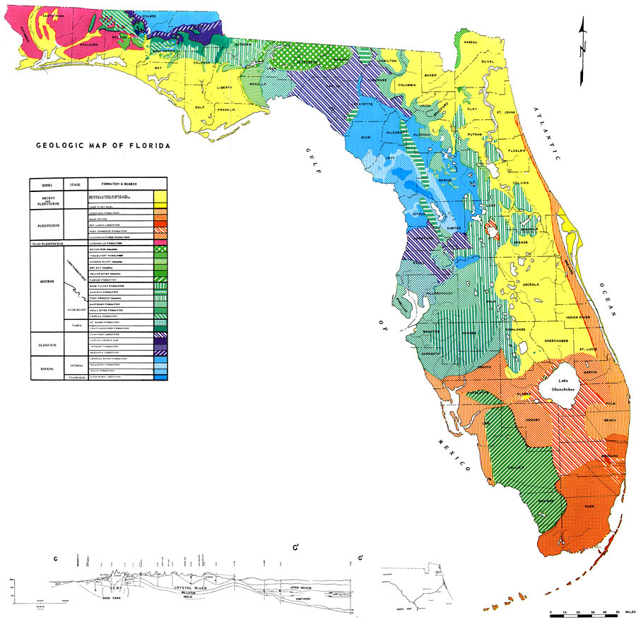 Geologic Map Of Florida, 1964 intended for Natural Resource Map of Florida