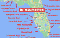Giant Map Of Florida West Coast Florida Fishing Map - Homosassa To regarding West Coast of Florida Beaches Map