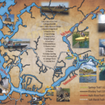 Homosassa River Kayak Map | Florida Paddle Notes Regarding Map Of Homosassa Springs Florida