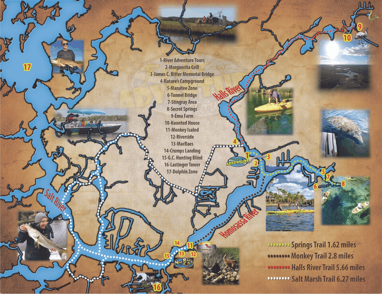 Homosassa River Kayak Map | Florida Paddle Notes regarding Map of Homosassa Springs Florida