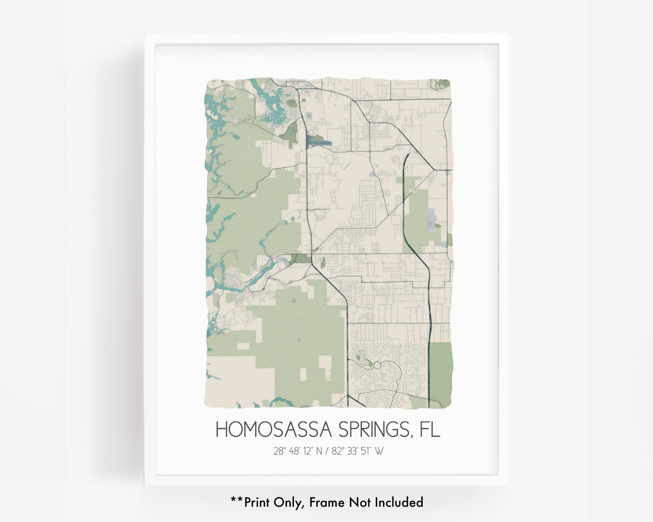 Homosassa Springs Fl City Map Art Print, Hometown Map Poster, City with Map of Homosassa Springs Florida