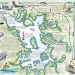 Kayaking Crystal River To Three Sisters Springs — Adopting Life'S With Regard To Map Of Florida Crystal River