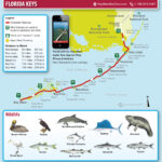 Key West And Florida Keys Maps   Miami Beach 411 Travel Store Intended For Map Of Florida Keys Beaches