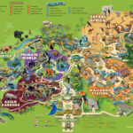 Lowry Park Zoo, Florida (2) | Images :: Behance In Map Of Zoos In Florida
