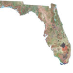 Map Of Florida   Cities And Roads   Gis Geography For View A Map Of Florida
