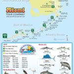 Map Of Florida Keys | Key West Bus Tours Throughout Map Of Florida Keys With Mile Markers