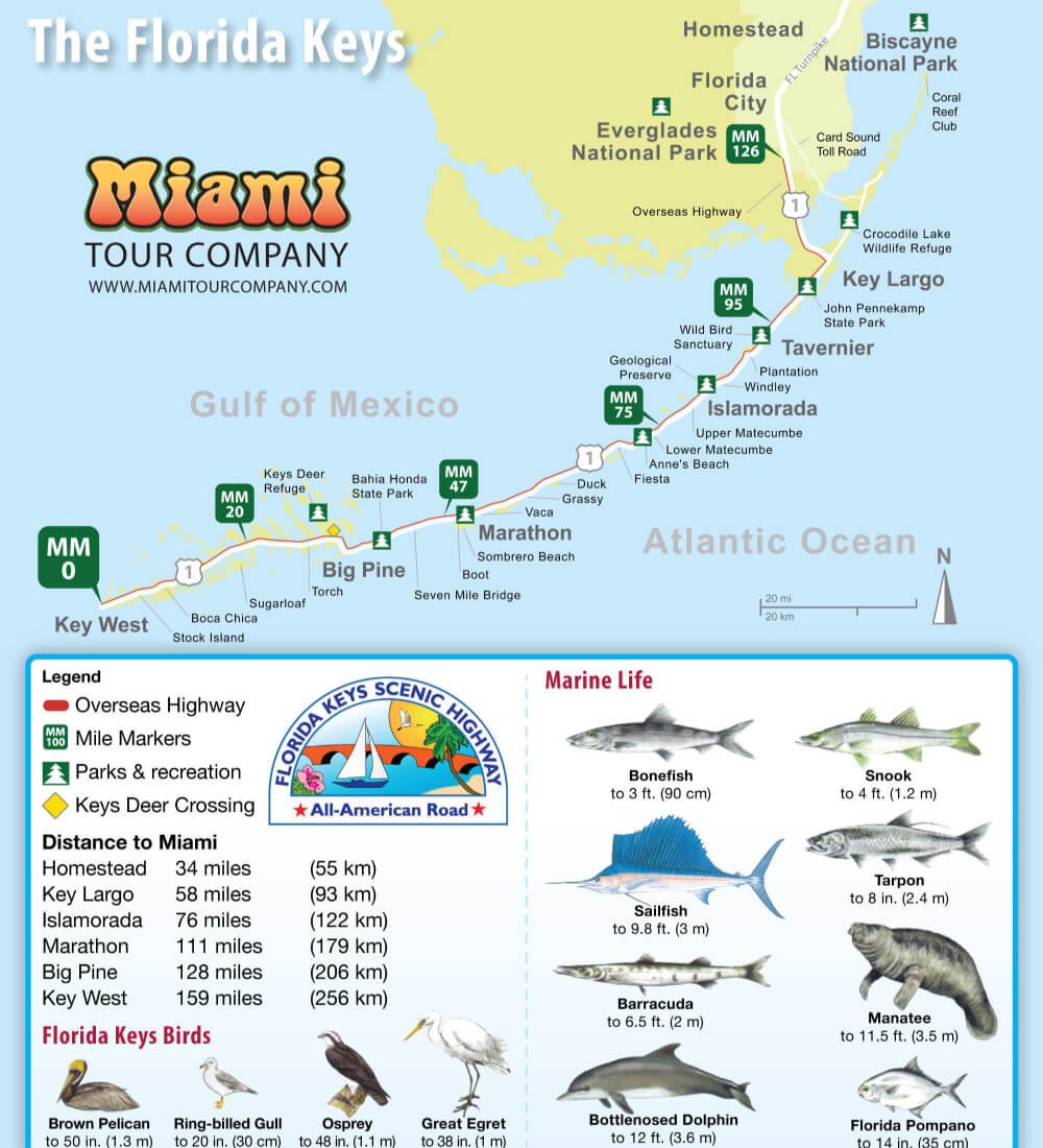Map Of Florida Keys | Key West Bus Tours throughout Map Of Florida Keys With Mile Markers