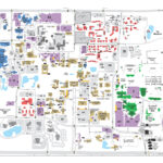 Maps And Directions | About Us | School Of Information | College For University Of South Florida Campus Map