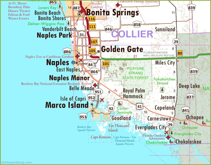 City of Naples Florida Map