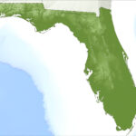 Physical Map Of Florida With Regard To Physical Map Of Florida State Physical Map Of Florida With Regard To Physical Map Of Florida State