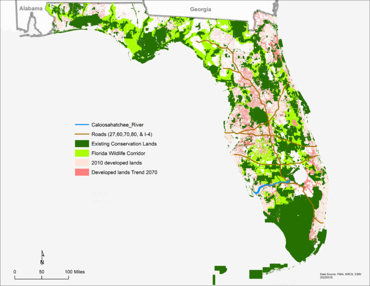 Map of Florida Panther Habitat Map of Florida Panther Habitat
