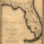 Swampland In Florida | Worlds Revealed Within Map Of Wetlands In Florida