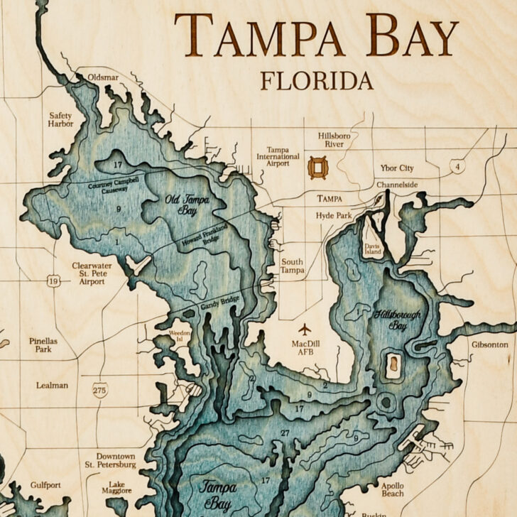 Topographic Map of Tampa Florida