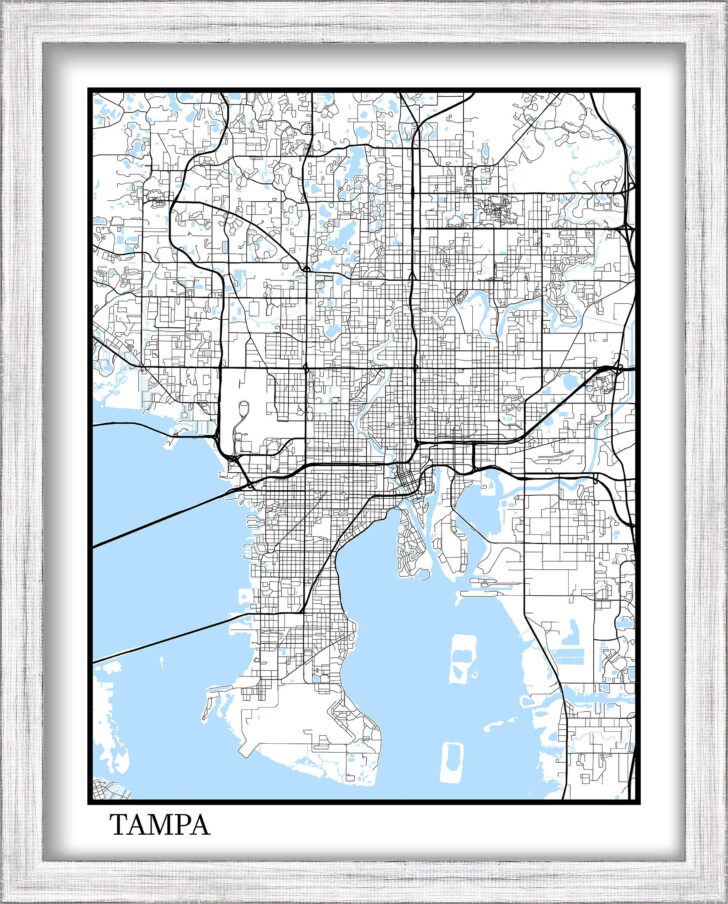 Street Map of Tampa Florida