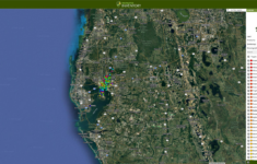 Tampa Tree Map - Start Mapping intended for University Of South Florida Google Maps