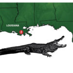 The Great Gator Comeback In America   Game & Fish In Map Of Alligators In Florida