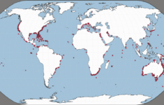 Unprovoked Shark Attack Interactive Map – International Shark with regard to Map Of Florida Shark Attacks