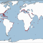 Unprovoked Shark Attack Interactive Map – International Shark Within Map Of Shark Attacks In Florida